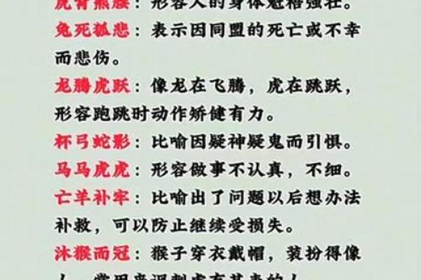 收藏：溜干二净是指什么生肖,经典成语释义全面精选解析最佳