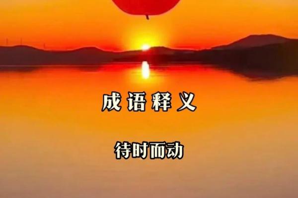 凌晨:班师振旅正确生肖答案,终极成语释义精选最佳全面解析 凌晨:班师振旅正确生肖答案,终极成语释义精选最佳全面解析