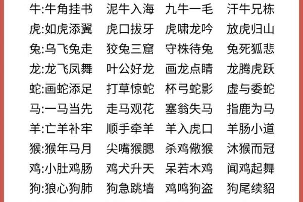 连续报道：金玉良言猜一个生肖,官方成语解读最佳全面精选解答